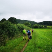 Sandstone trail 08