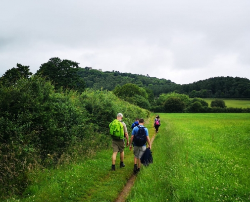 Sandstone trail 08
