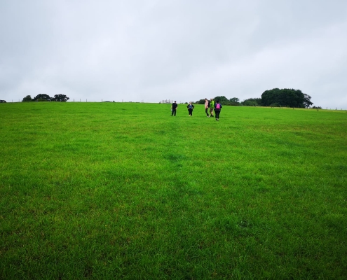 Sandstone trail 15