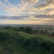 Sandstone trail 16