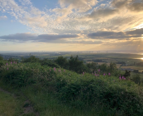 Sandstone trail 16